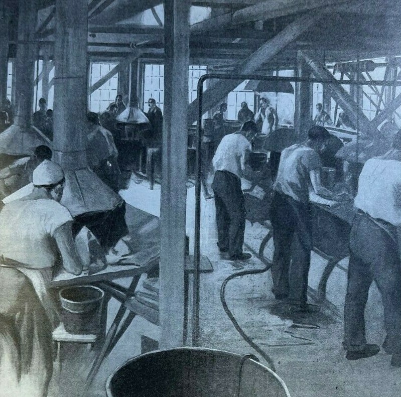 1901 Making Derby Hats in America illustrated