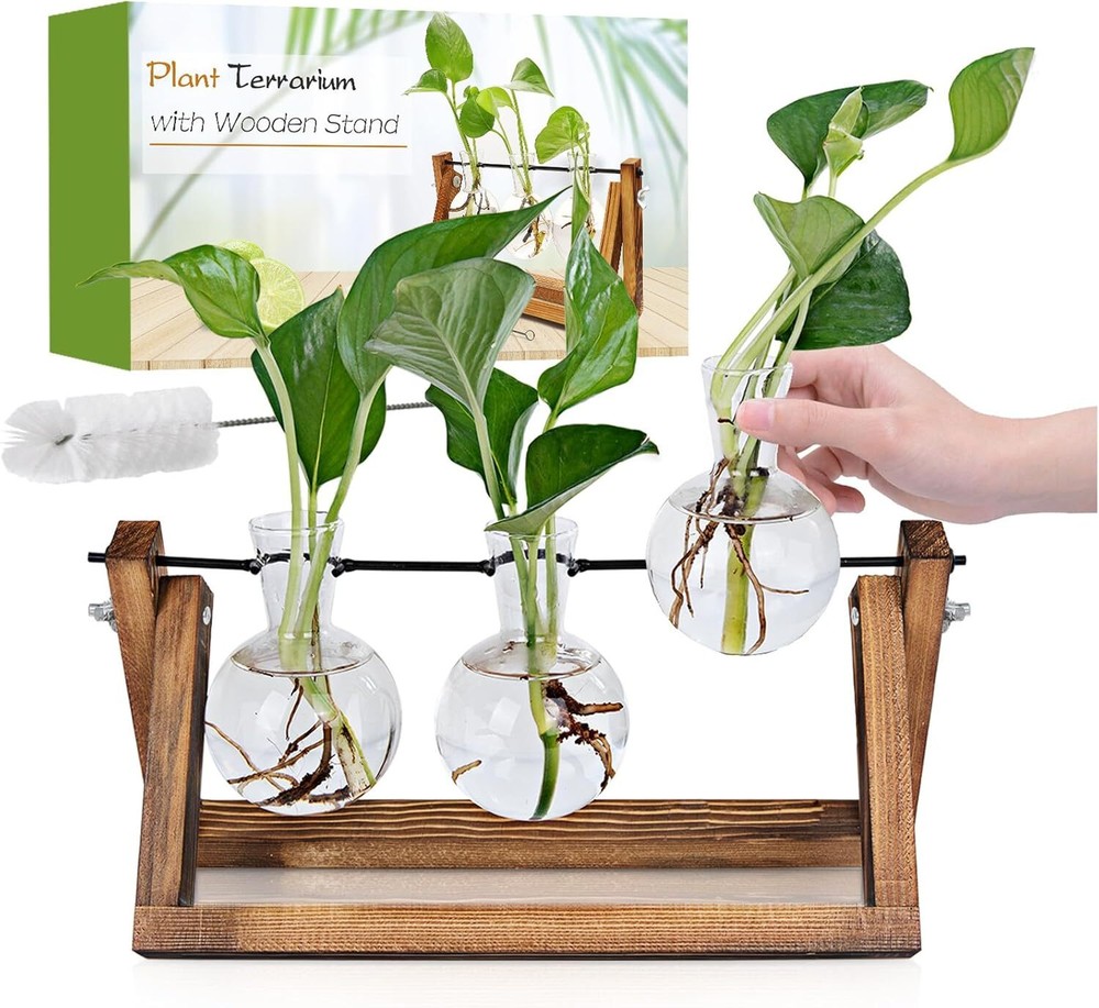 Plant Propagation Station with Wooden Stand for Unique Gardening Displays