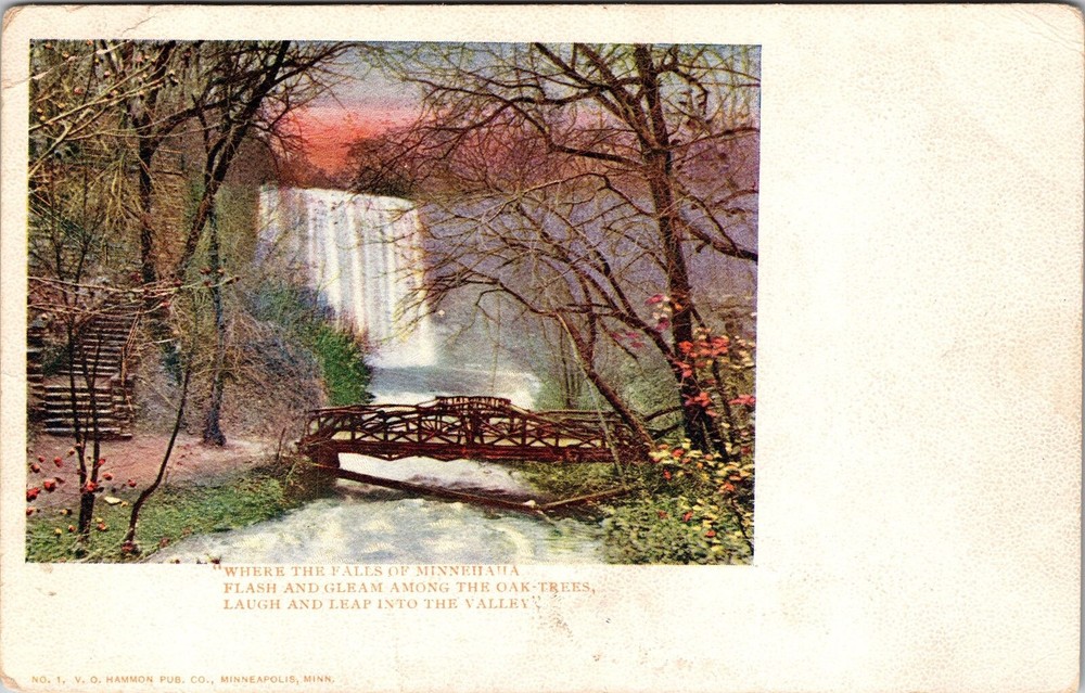 MN Falls MN-Minnesota, Scenic View, Oak Trees Vintage Souvenir Postcard
