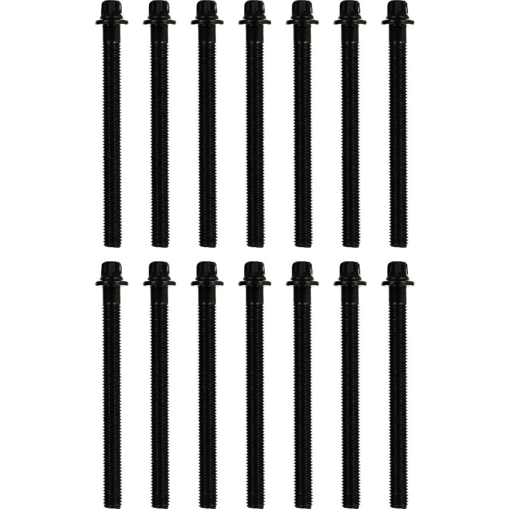 Victor Reinz 14-32005-02 Engine Cylinder Head Bolt Set