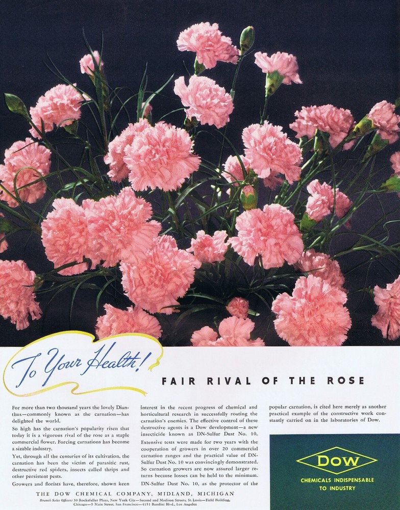 1940 Vintage DOW CHEMICALS INSECTICIDE DN-SULFUR 11x14 Original Ad CARNATIONS