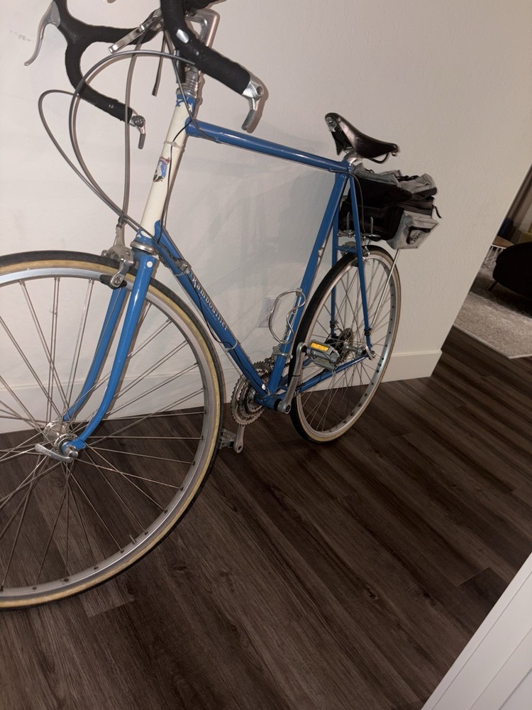 Rivendell Rambouillet  Bike