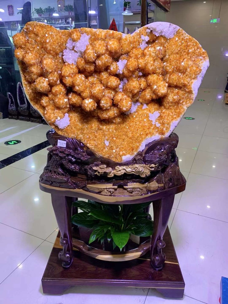 660LB Rare Natural Citrine Quartz Cluster Flower Crystal Specimen for Collectors