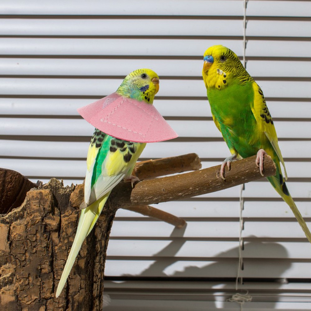 4 Pcs Elizabethan Collar Safety Anti-biting Baby for Bird Pet Recovery