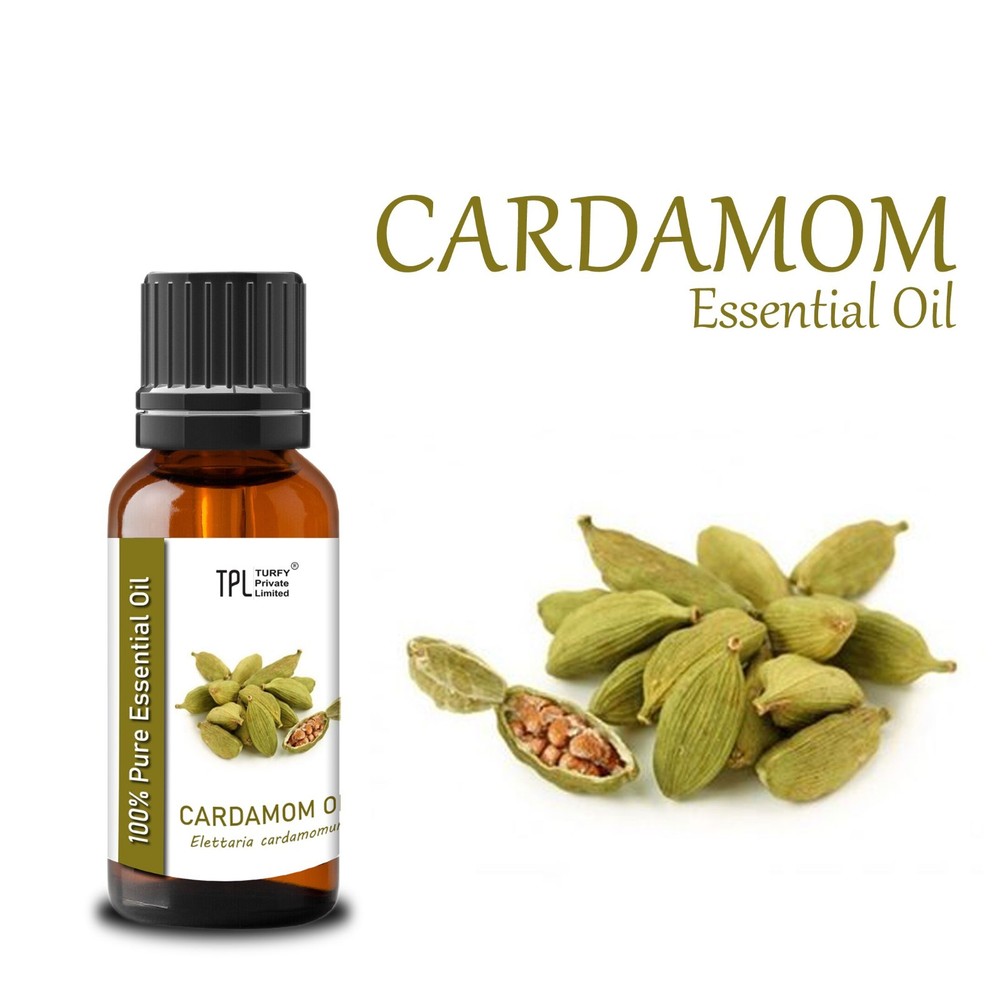 Cardamom Essential Oil 100% Pure & Natural Therapeutic Aromatherapy Oil- 10 ml