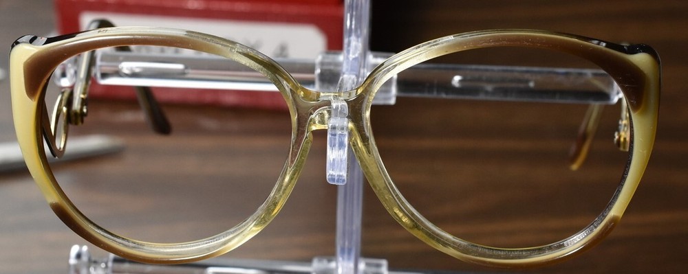 Fantastic Owl Modern Beauty Huge Eyeglass Frames with Dropped Temples Diller Elton