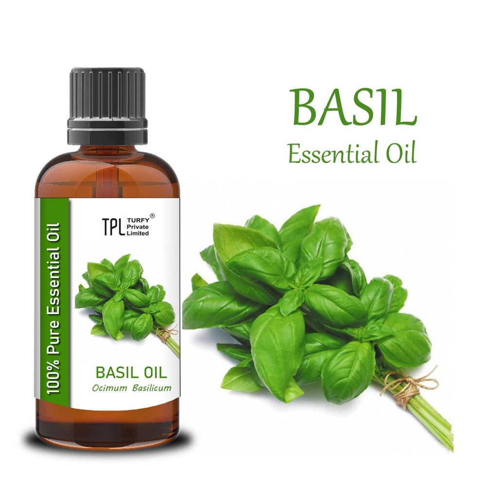 100% Pure Basil Essential Oil - 50ml Therapeutic Grade Natural