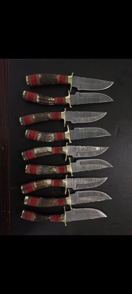 Lot of 20, Custom Handmade Damascus Steel Skinner knives Stag Handle W/Sheaths.