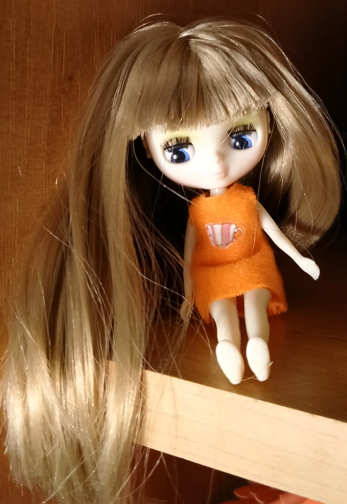 Blythe Doll Fashion 4