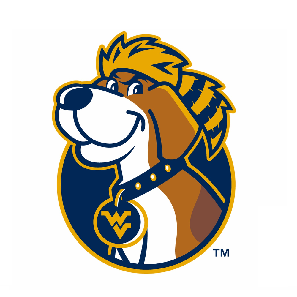 West Virginia Mountaineers NCAA Weather Resistant Vinyl Die Cut Sticker Decal 15