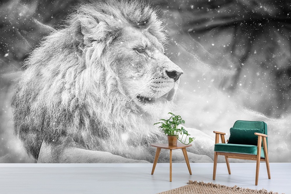 3D Lion Animal Close-up Wall Murals Wallpaper Murals Wall Sticker