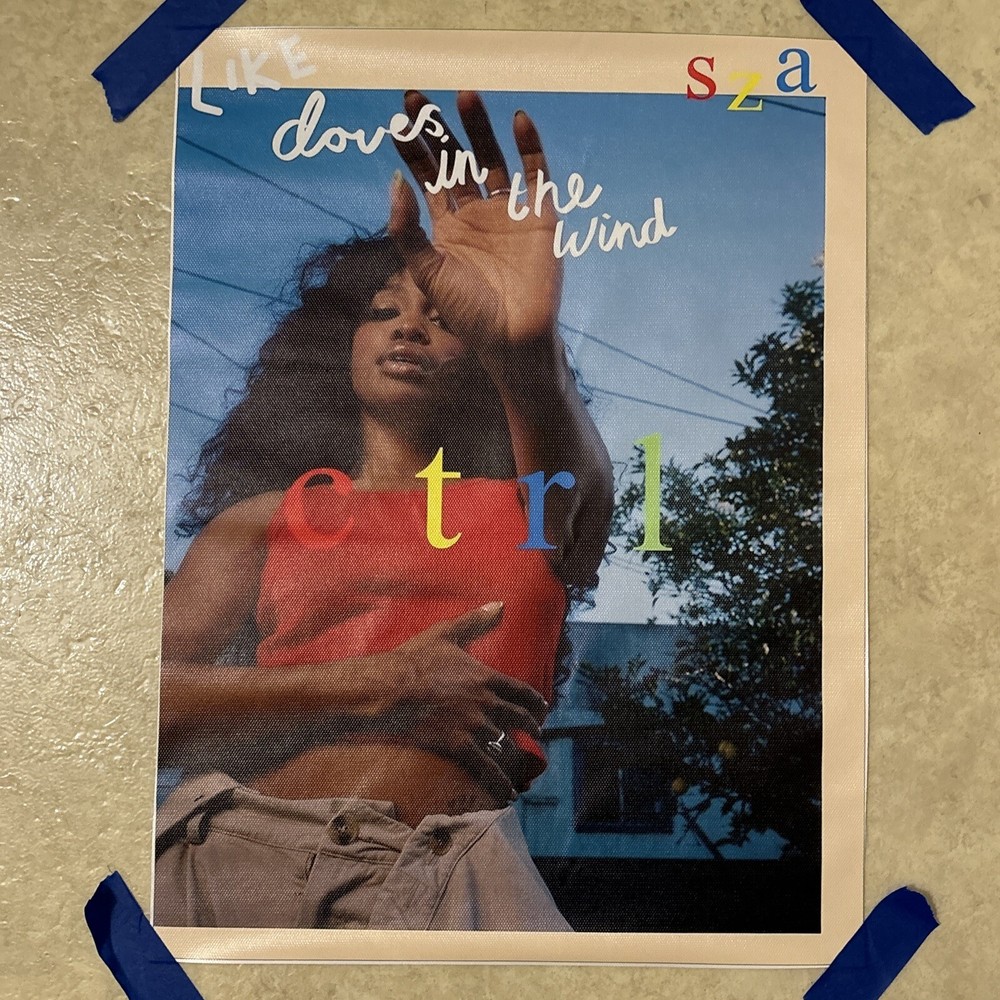 SZA - ctrl Album ✅ R&B -Rap Music Poster ✅ Wall Art Room Canvas Man Cave✅ 12x16”