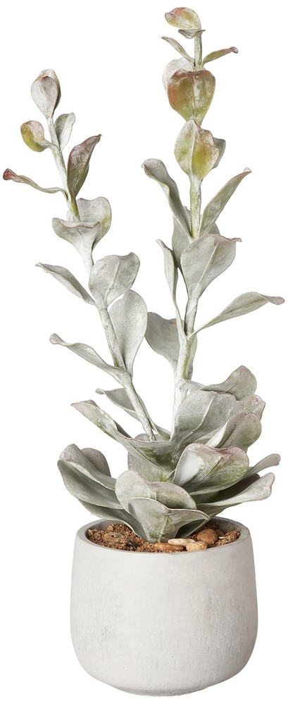 Faux Succulent in Cement Pot by Creative Co-Op  