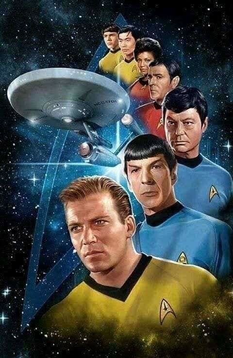 Star Trek Laminated Unframed Poster 8x11 Print  