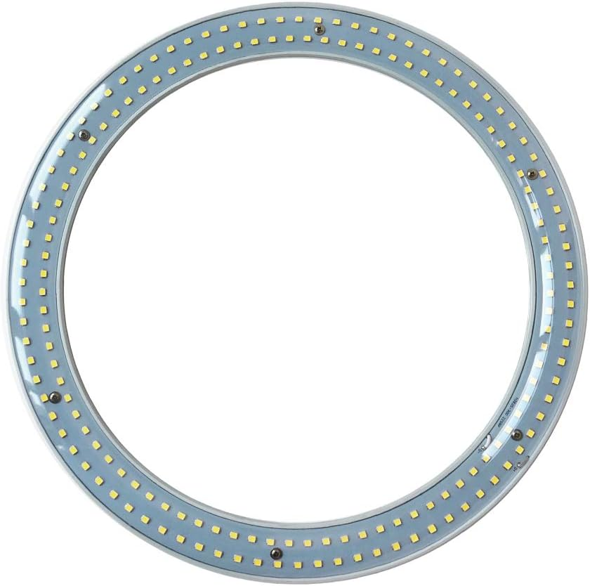 T9 LED Circline Light Bulb, 12 Inch 2700LM LED Circular Ceiling Light, 22W Clear
