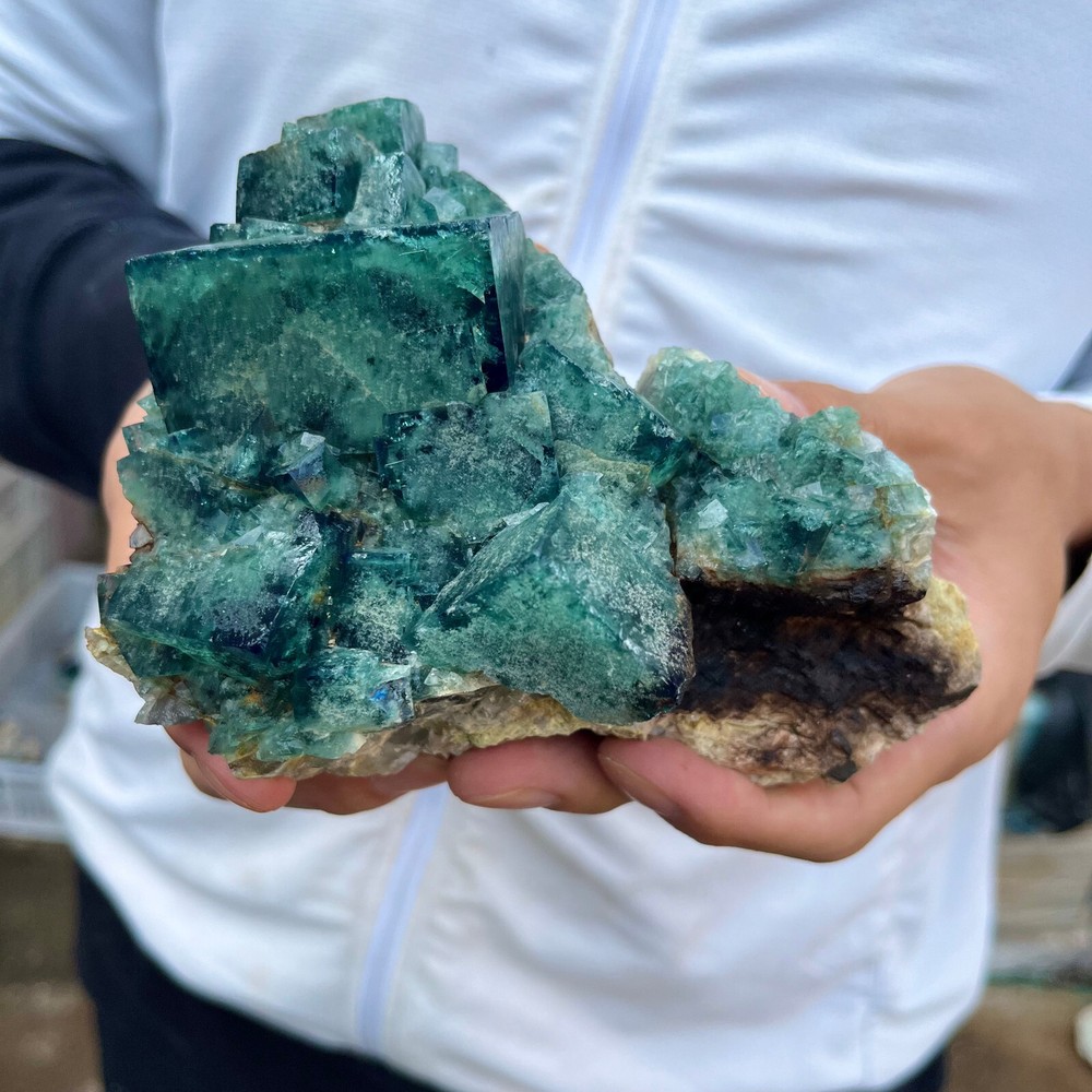 Natural Green Fluorite Quartz Crystal Cluster Specimen 1.6LB