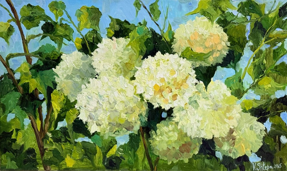Framed Hydrangea Painting Floral Original Art Impasto Oil Flower Spring 15x23