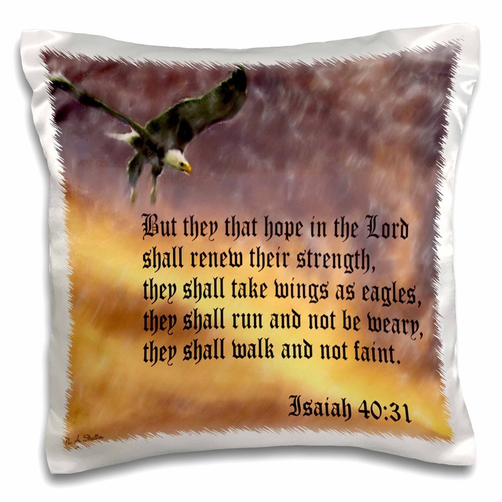 3dRose Isaiah 40-31 Bible verse with eagle against a troubled sky 16x16 inch Pil