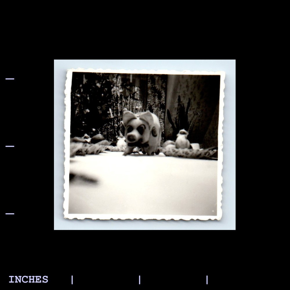 Vintage Photo CLOSE-UP OF PIGGY BANK