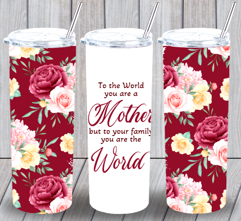 Mother World Multicolor 20oz Insulated Tumbler Box Lid Clear Straw New