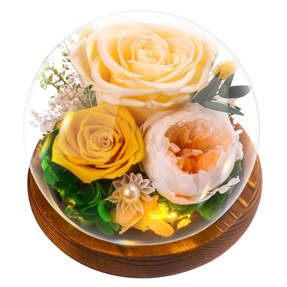 Eternal Preserved Rose in Glass Dome for Mom Grandma Mothers Day Gift-image