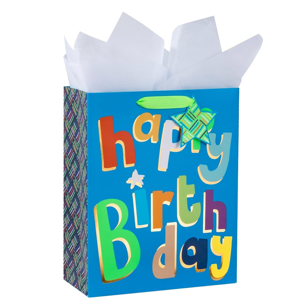 Colorful 10x5x13 Birthday Gift Bag with Tissue Paper Tag Party Supplies 1 Pack