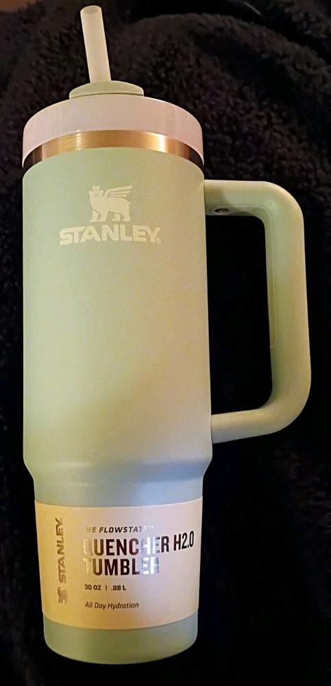 Stanley 30 oz. The Flowstate Quencher H2.0 Tumbler Seafoam Green **BRAND NEW!