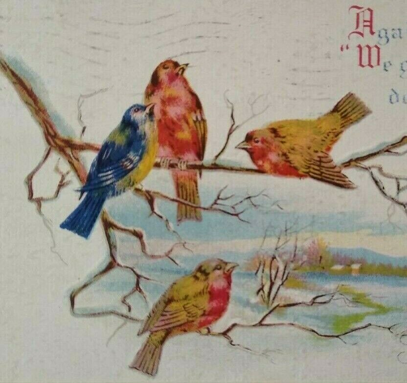 New Years Postcard Seated Birds Yellow Blue Red Embossed Vintage 600 BB Original-image