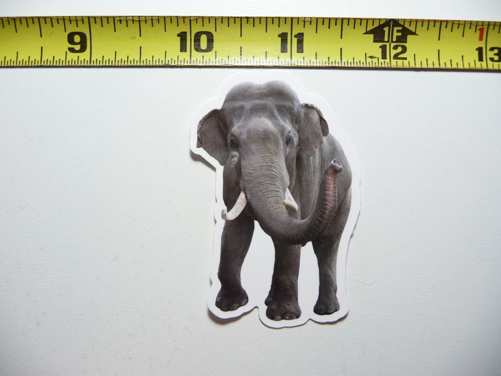 Elephant Trumpet Sticker Wildlife Nature Animal Decal