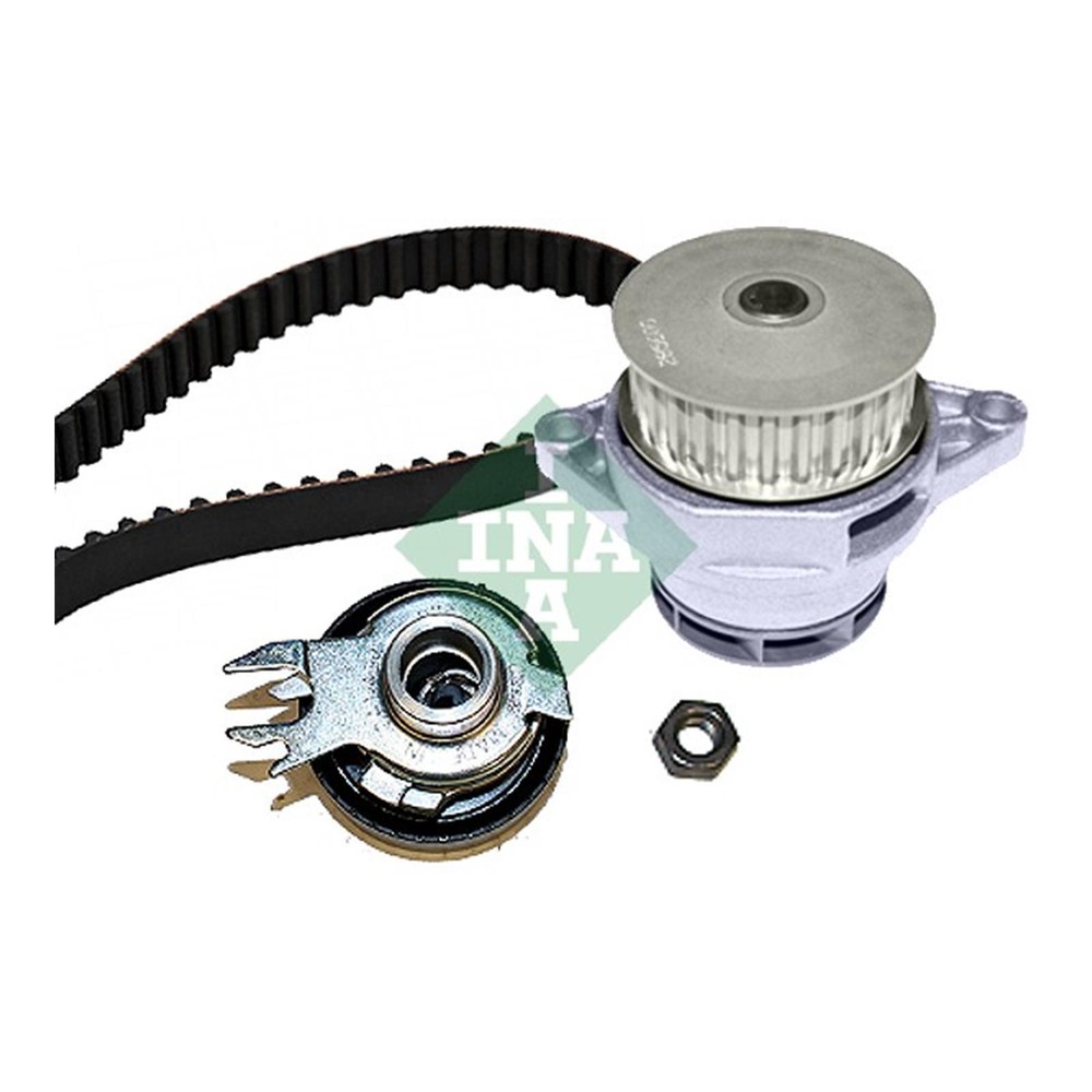 INA Water Pump & Timing Belt Kit for VW Polo Felicia Cordoba Octavia Caddy Ibiza