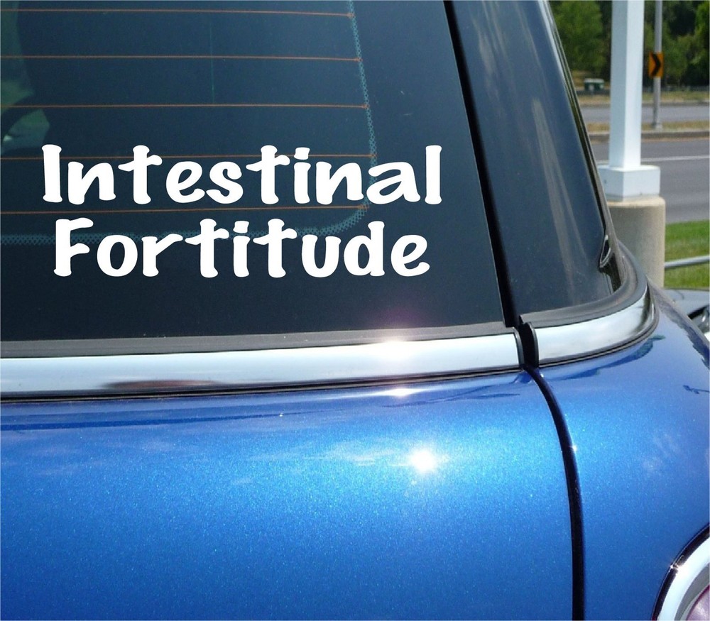 INTESTINAL FORTITUDE COURAGE STAMINA ENDURANCE RUNNING DECAL STICKER FUNNY CAR