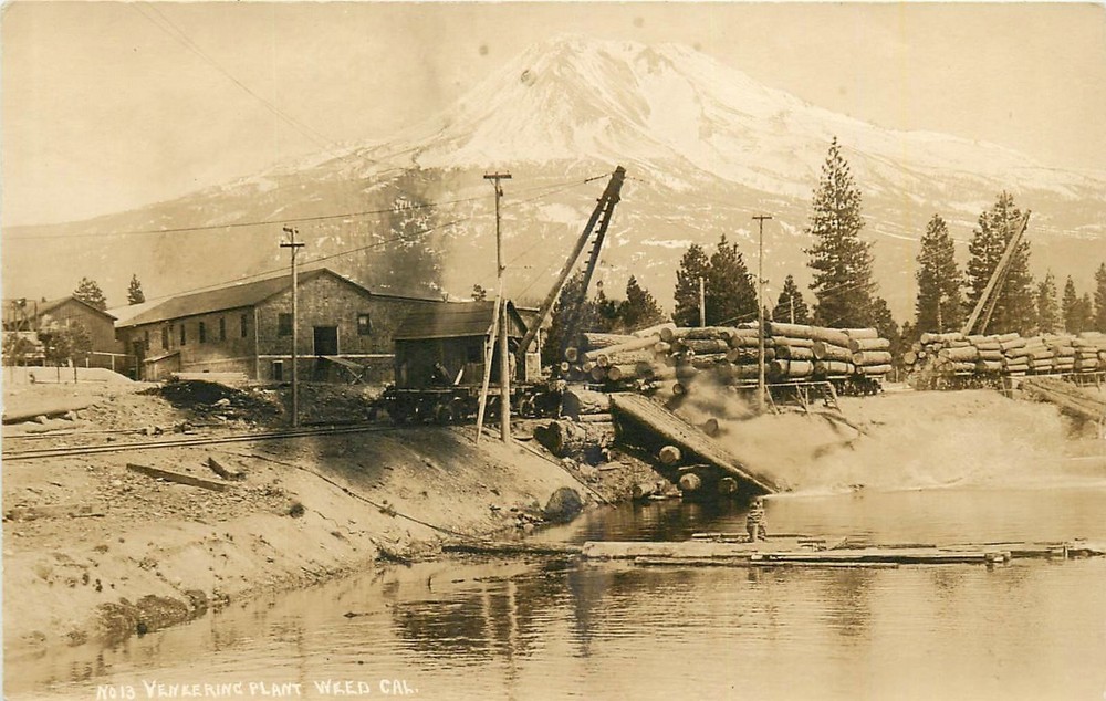 c1910 Weed California Logging Sawmill occupation RPPC Postcard 25-10717