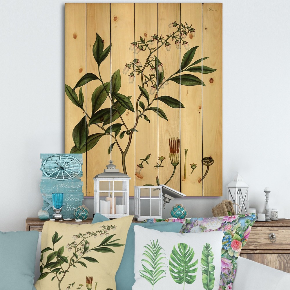 Designart 'Vintage Plant Life V' Traditional Print on