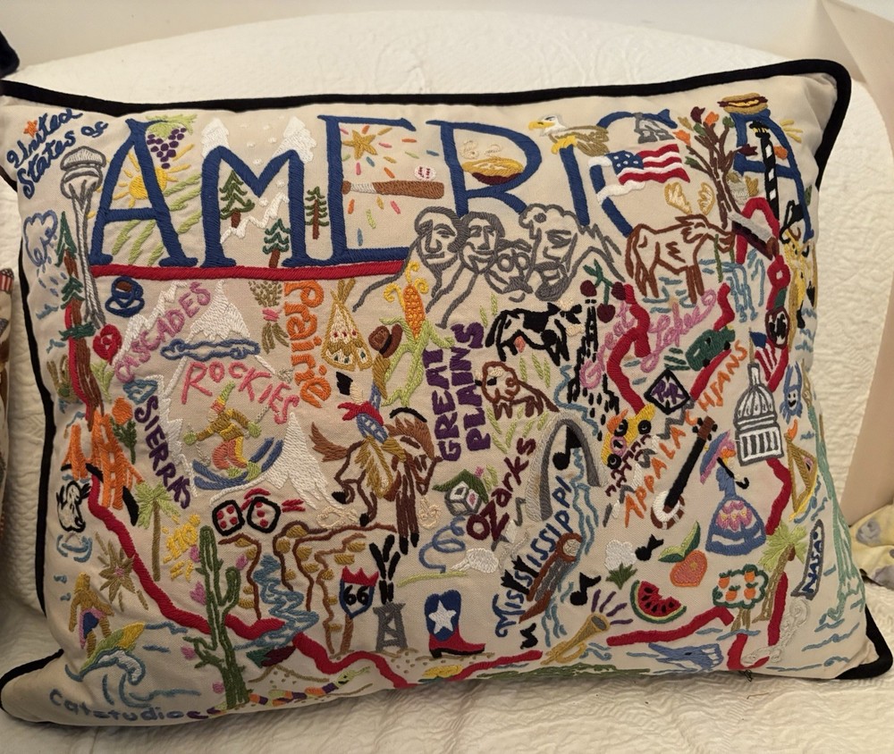 America Cat Studio Pillow. Some Slight Markings. See Photos