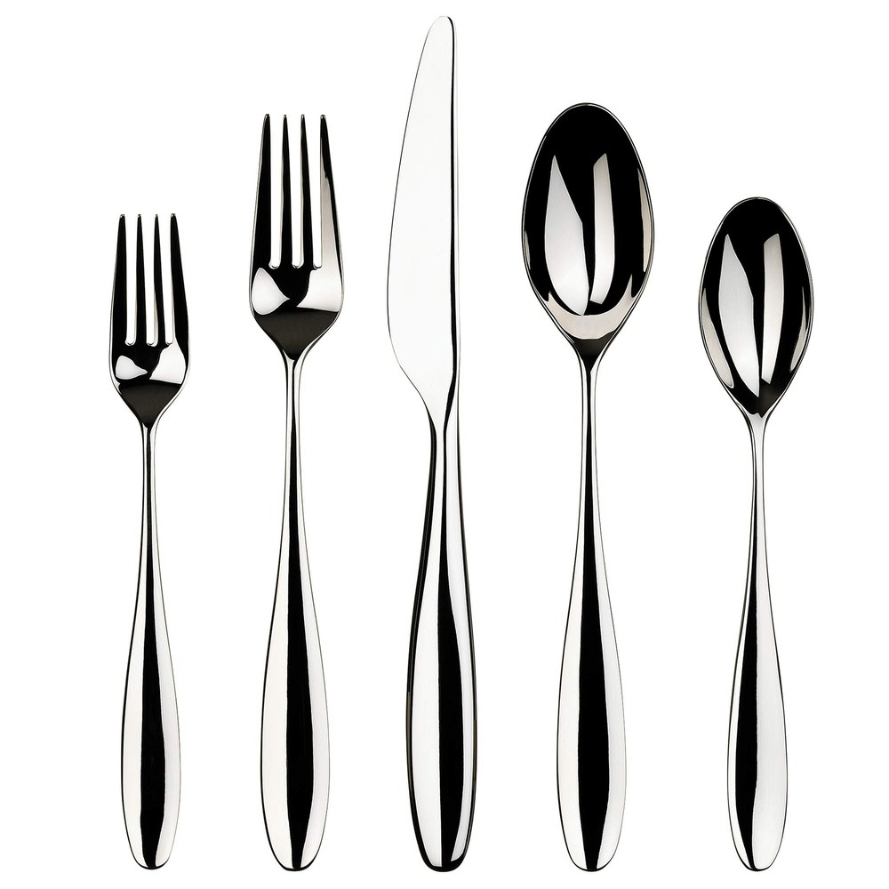 20-Piece Polished Stainless Steel Flatware Set in Willow Collection
