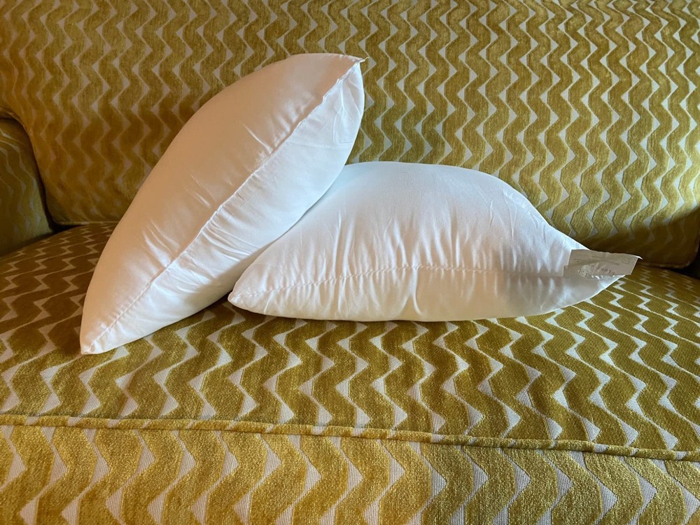 EDOW Throw Pillow Inserts Set of 2 Lightweight Down 18x18 Inch White