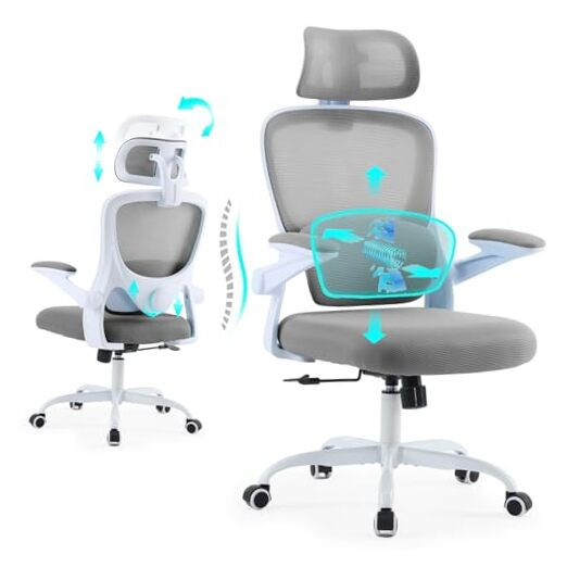 Ergonomic Office Chair with Tilt-Lock, Home Office Desk Chair with Light Gray