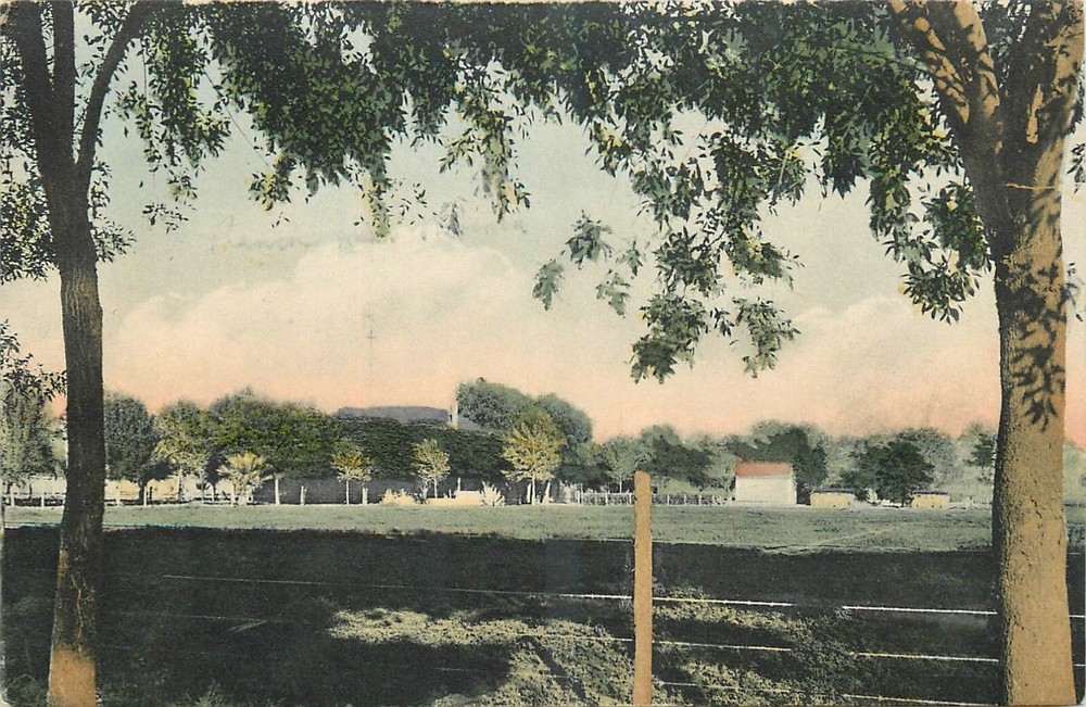 C-1910 Phoenix Arizona Ranch Scene Rieder hand colored #20017 Postcard 25-3274