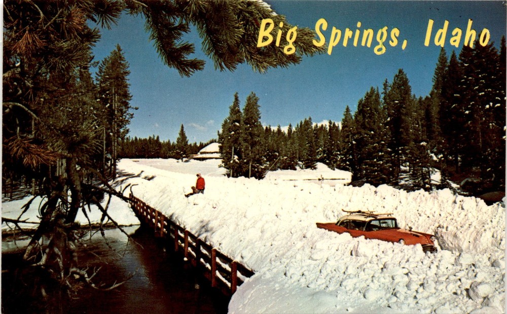Big Springs, Idaho, Brownell & Son News Agency, Idaho Falls, Postcard