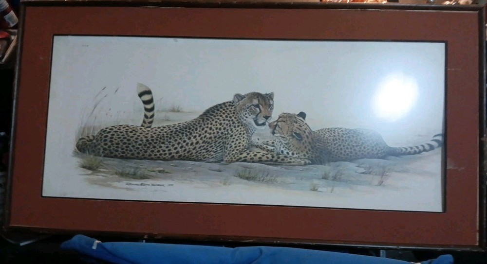 VTG Richard Evans Younger 1972 Cheetah Signed Plate III 49x31”