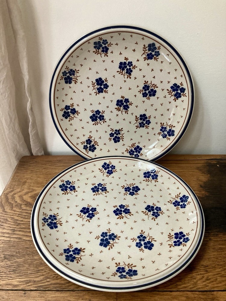 Set Of Two Newcor Country Field Stoneware 10.5” Dinner Plates