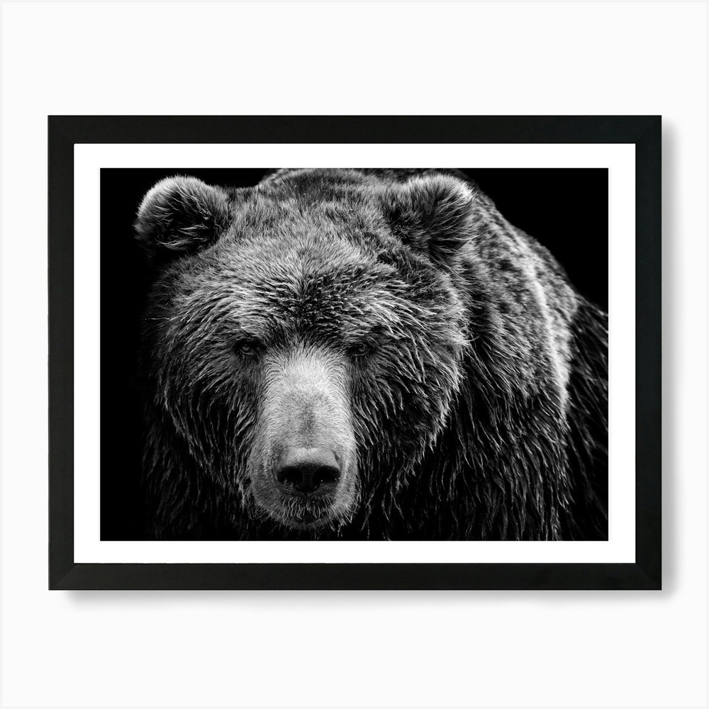 Grizzly Bear Framed Canvas Art Print Wall Decor Poster