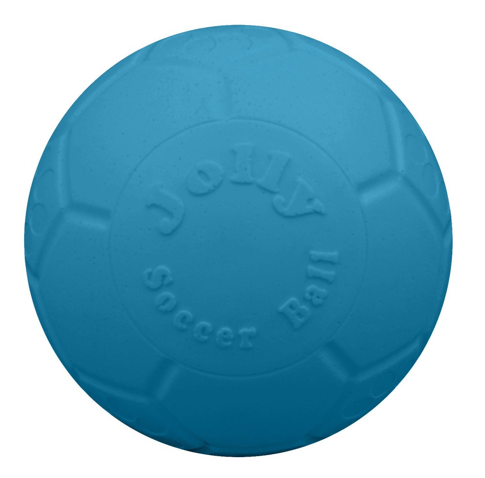 Medium Soccer Ball Floating-Bouncing Dog Toy, 6 inch Diameter, Ocean Blue