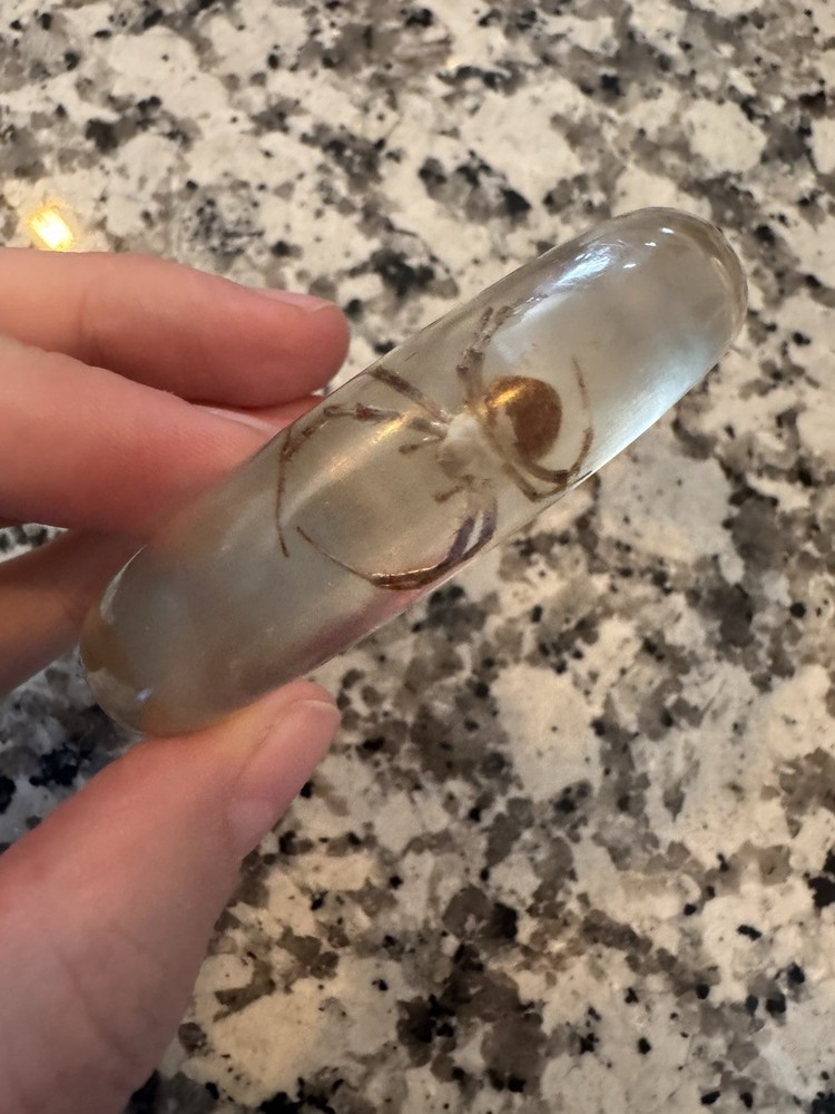 Vintage Lucite SPIDER Bangle Bracelet Real Bugs Embedded Resin Oddities Jewelry