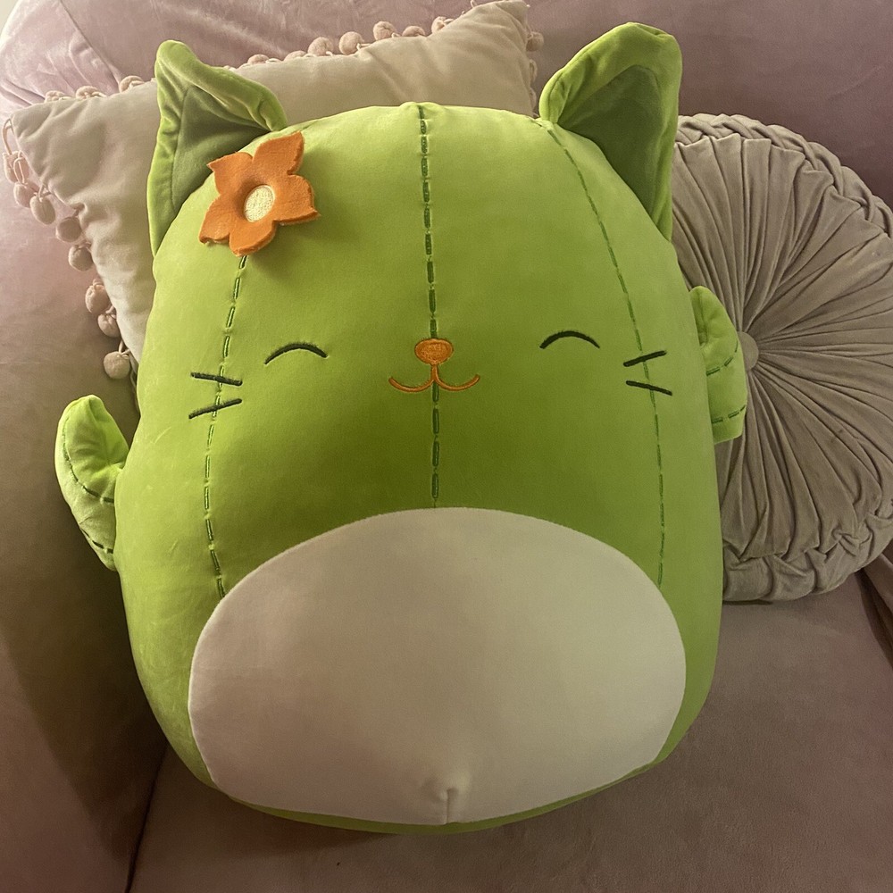 Squishmallows Ms. Miss Green Cactus Kitty 16