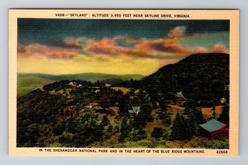 VA-Virginia, Skyland Drive, Blue Ridge Mountains, Vintage Souvenir Postcard