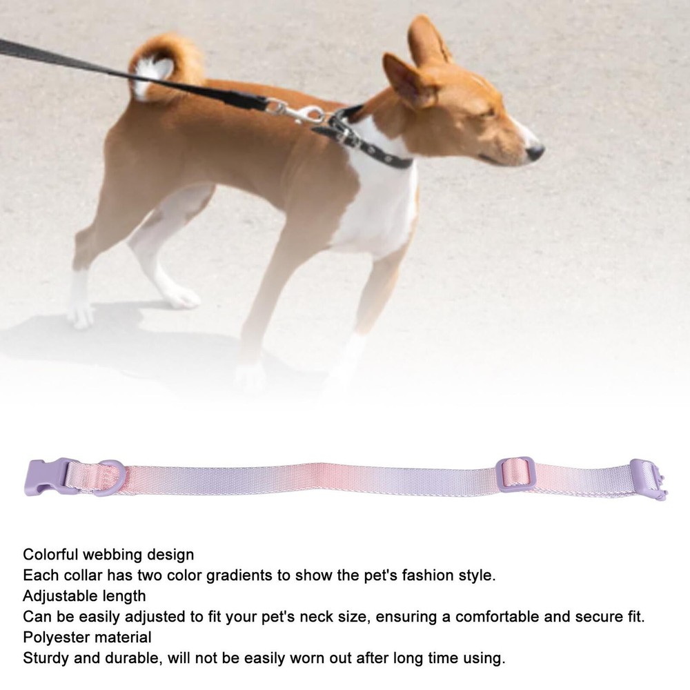 Colorful Adjustable Dog Collar for Comfort and Style