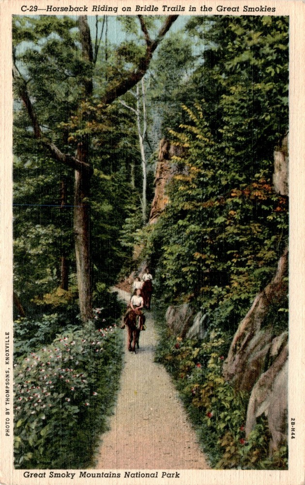 Thompsons, Knoxville, Great Smoky Mountains National Park, Linburg, Postcard