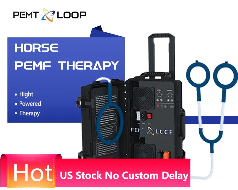 Equine PEMF Device PMST LOOP Magnetic Therapy Machine for Horses InjuryTreatment