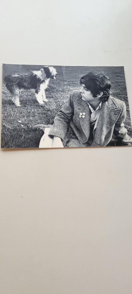 Paul McCartney and his sheepdog Martha photographed by Linda McCartney